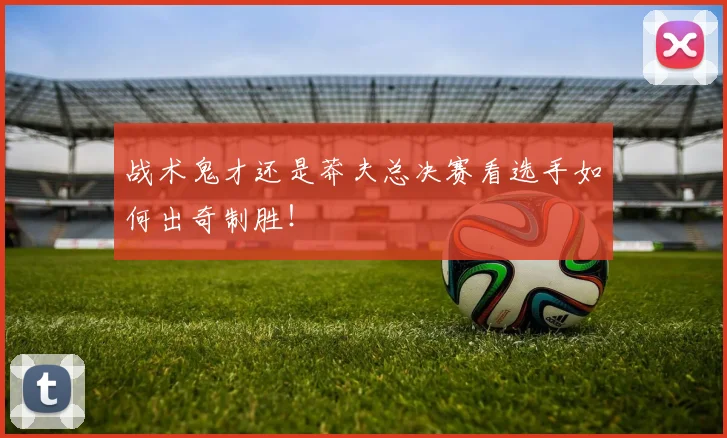 战术鬼才还是莽夫总决赛看选手如何出奇制胜!